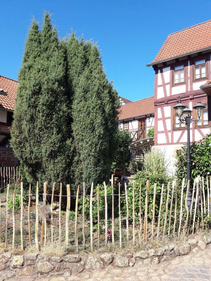 Diebacher Hof Бюдинген Экстерьер фото